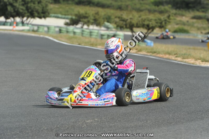 DSC (3725).JPG